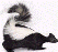 Poker Skunk